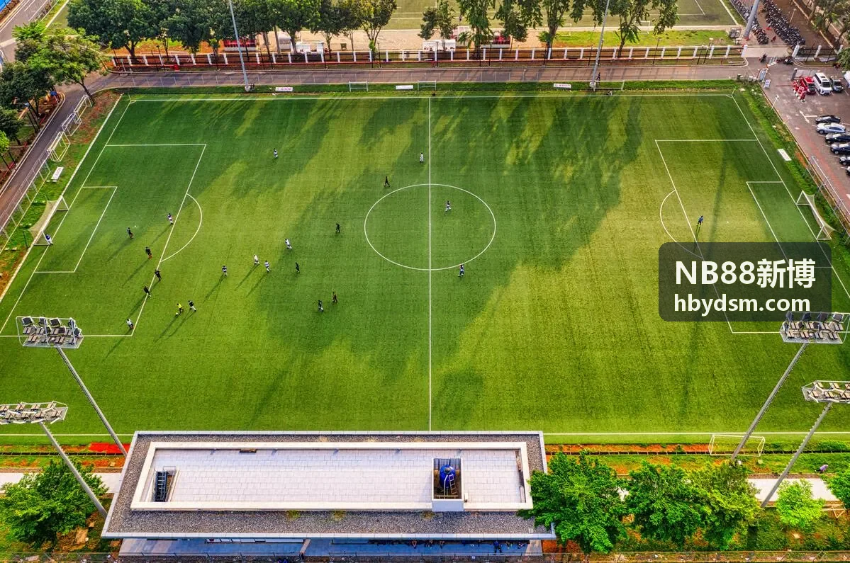 NB88新博案例