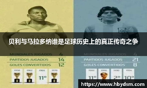 雷竞技raybetapp官网